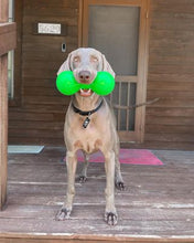 Load image into Gallery viewer, BIG DAWG XL Lifetime Guaranteed