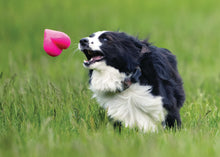 Load image into Gallery viewer, DAWG HART Lifetime Guaranteed