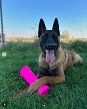 Load image into Gallery viewer, CRINKIT XL water bottle toy
