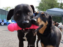 Load image into Gallery viewer, DAWG BUSTER Lifetime Guaranteed