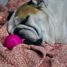 Load image into Gallery viewer, BALL Lifetime Guaranteed