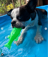 Load image into Gallery viewer, MINNOW