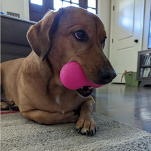 Load image into Gallery viewer, PEANUT CRUNCH