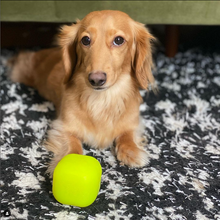 Load image into Gallery viewer, DAWG CUBE Lifetime Guaranteed