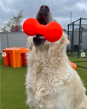 Load image into Gallery viewer, BIG DAWG Lifetime Guaranteed