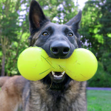 Load image into Gallery viewer, BIG DAWG XL Lifetime Guaranteed