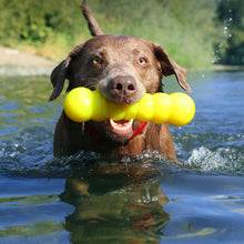 Load image into Gallery viewer, DAWG BUSTER Lifetime Guaranteed