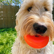 Load image into Gallery viewer, DAWG NUT Lifetime Guaranteed