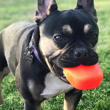 Load image into Gallery viewer, ROCK