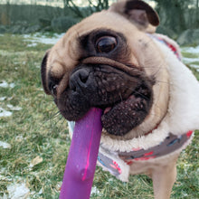 Load image into Gallery viewer, TWIG CRUNCH