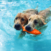 Load image into Gallery viewer, FISH