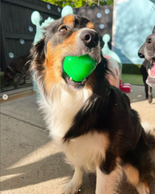 Load image into Gallery viewer, DAWG CUBE Lifetime Guaranteed
