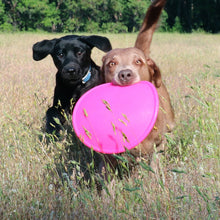 Load image into Gallery viewer, K9 FLYER
