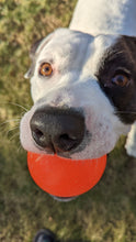 Load image into Gallery viewer, BALL XL Lifetime Guaranteed
