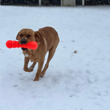 Load image into Gallery viewer, DAWG BUSTER XL Lifetime Guaranteed
