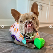 Load image into Gallery viewer, DAWG HART Lifetime Guaranteed
