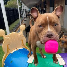 Load image into Gallery viewer, DAWG CUBE Lifetime Guaranteed
