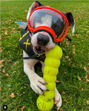 Load image into Gallery viewer, DAWG BUSTER Lifetime Guaranteed
