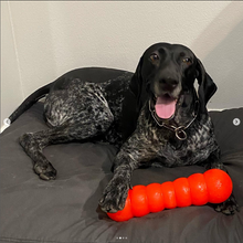 Load image into Gallery viewer, DAWG BUSTER XL Lifetime Guaranteed
