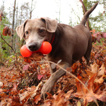 Load image into Gallery viewer, BIG DAWG Lifetime Guaranteed
