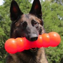 Load image into Gallery viewer, DAWG BUSTER XL Lifetime Guaranteed
