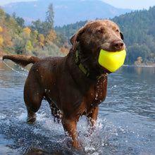 Load image into Gallery viewer, DAWG CUBE XL Lifetime Guaranteed
