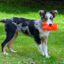 Load image into Gallery viewer, GUMMY BEAR
