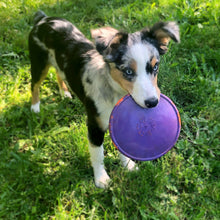 Load image into Gallery viewer, K9 FLYER JR
