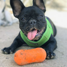 Load image into Gallery viewer, WEENUT
