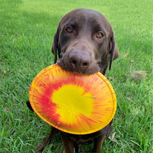 Load image into Gallery viewer, K9 FLYER
